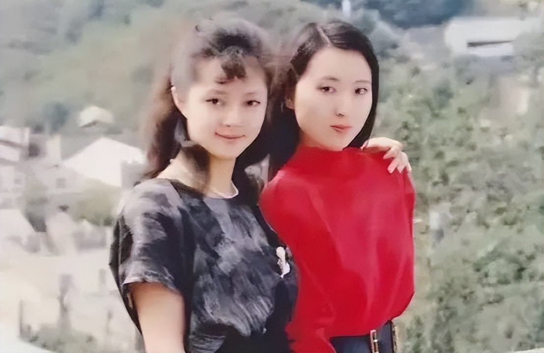 王熙凤张莉薛宝钗,87版红楼梦王熙凤选角