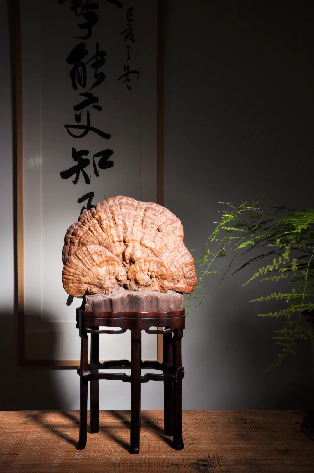 北京荣宝斋2018瓷器拍卖图片,北京荣宝斋特约秋拍瓷器