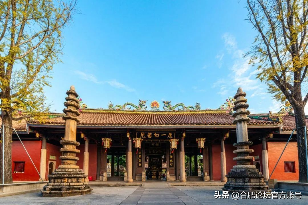 合肥市11月特价机票,特价机票来啦