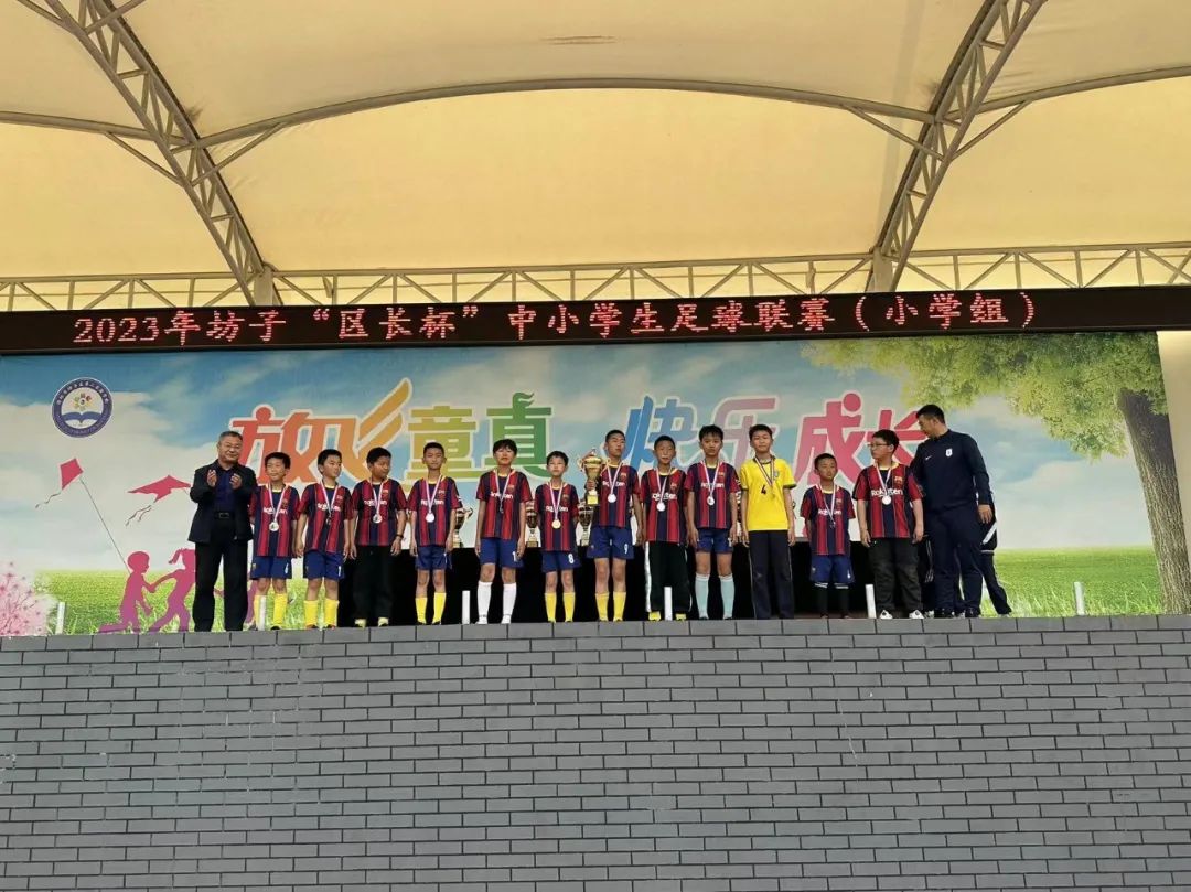 潍坊市奎文区小学足球联赛,2019潍坊小学足球联赛