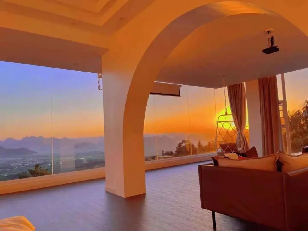 猫咪走太空步原视频最火,猫咪壁虎漫步视频