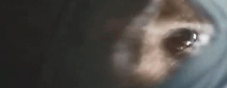 外星机器人科幻电影大全,科幻电影外星绿植