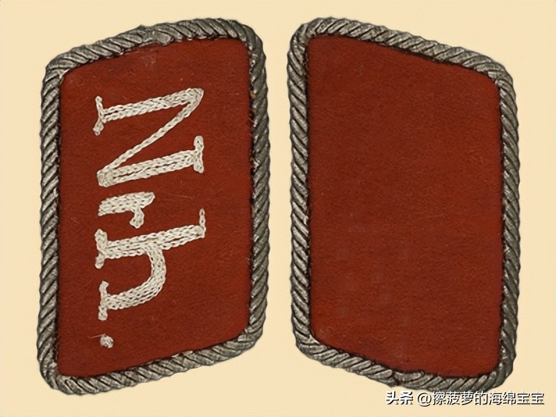 纳粹冲锋队用的什么枪,纳粹德军军衔图解