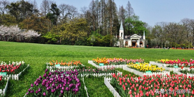 杭州旅游攻略必去景点清单图文,杭州旅游攻略自由行有哪些景点