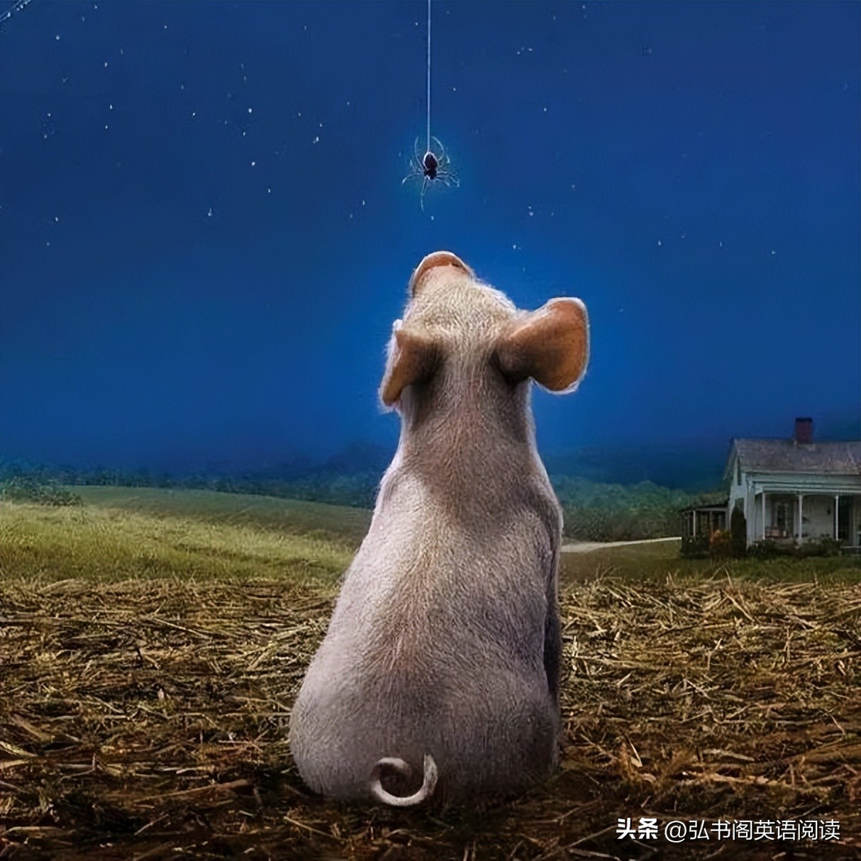 童书奥斯卡,童书大奖作品