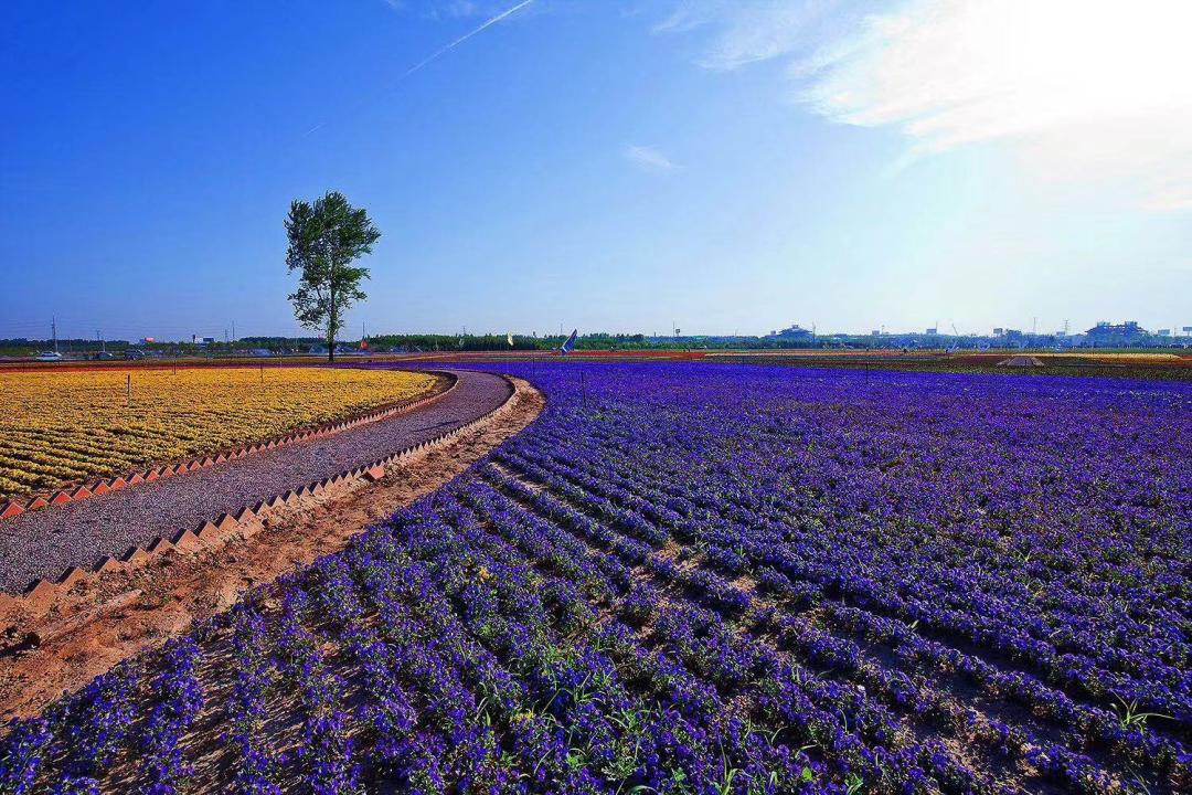 示范家庭农场申报推荐表填写,家庭农场财务网上申报怎么报
