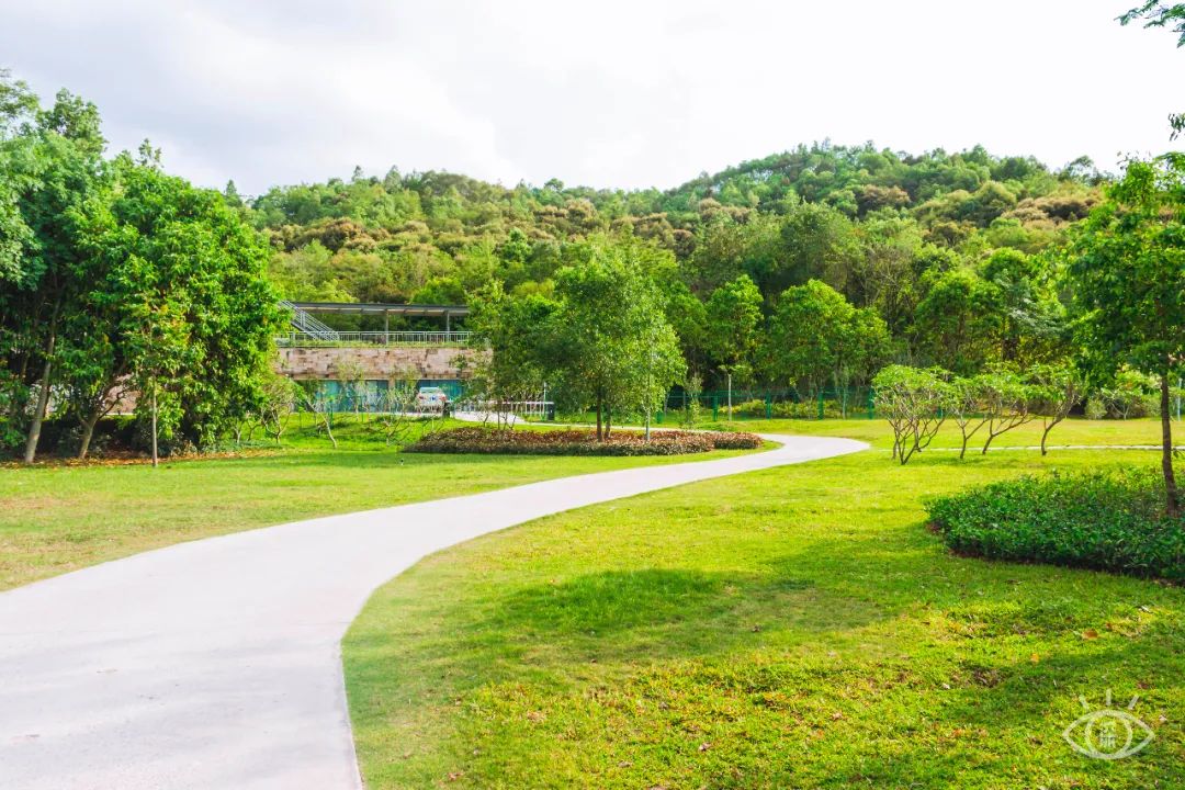 深圳九条最美绿道图片,这些深圳绿道骑出你的美