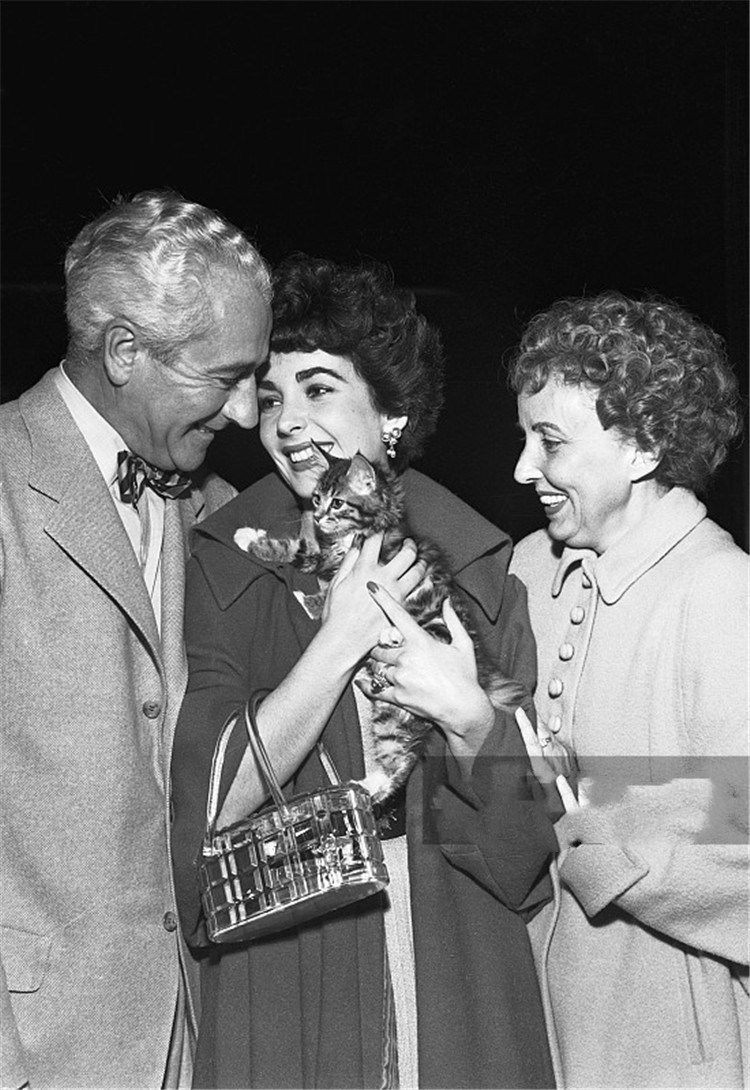 伊丽莎白泰勒一生经历,伊丽莎白泰勒风华绝代