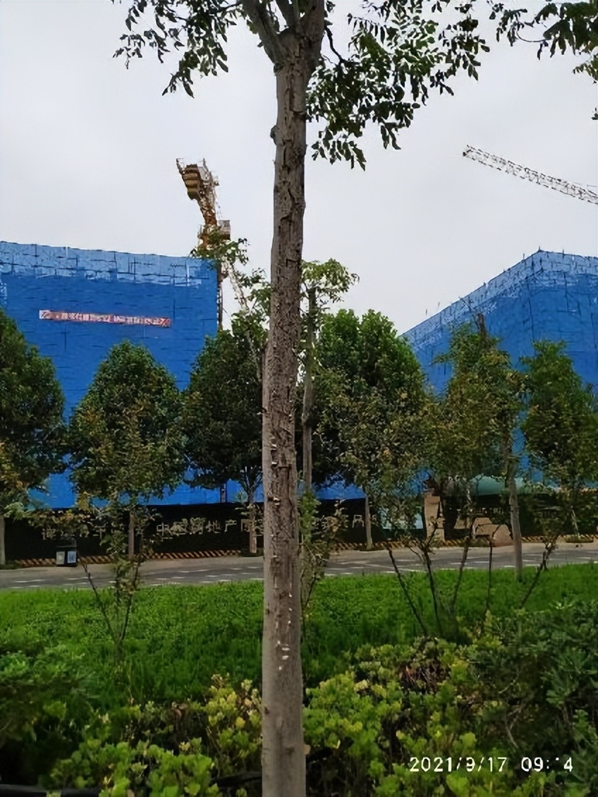 12月份园林绿化养护工作重点,元月份园林养护重点工作