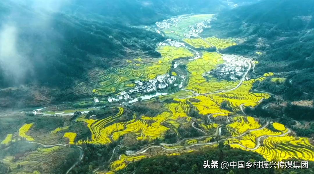 乡村振兴扶持项目在哪里申报,2023年乡村振兴项目补贴申报指南