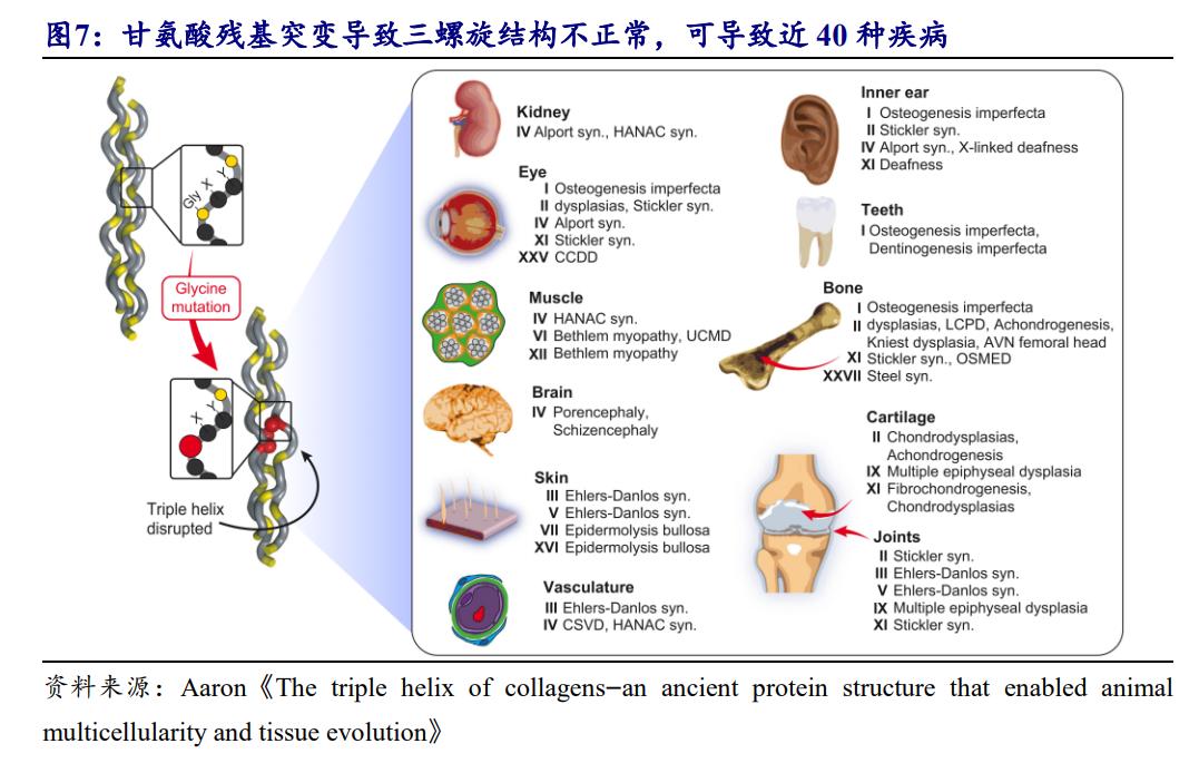 鑳跺師铔嬬櫧鍥藉唴宸蹭笂甯傜殑鍏,鑳跺師铔嬬櫧鑳藉惁鎴愪负璺ㄨ秺鍛ㄦ湡鍘熸枡