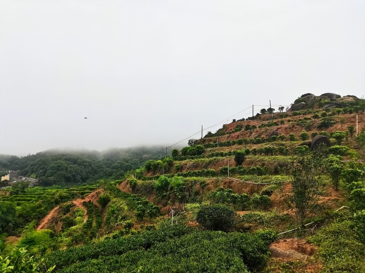 点赞新时代美丽乡村,潮南美丽乡村