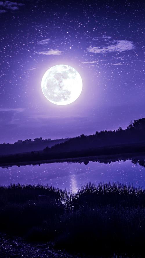 飞花令带有月字的诗句有哪些,飞花令月字诗词视频