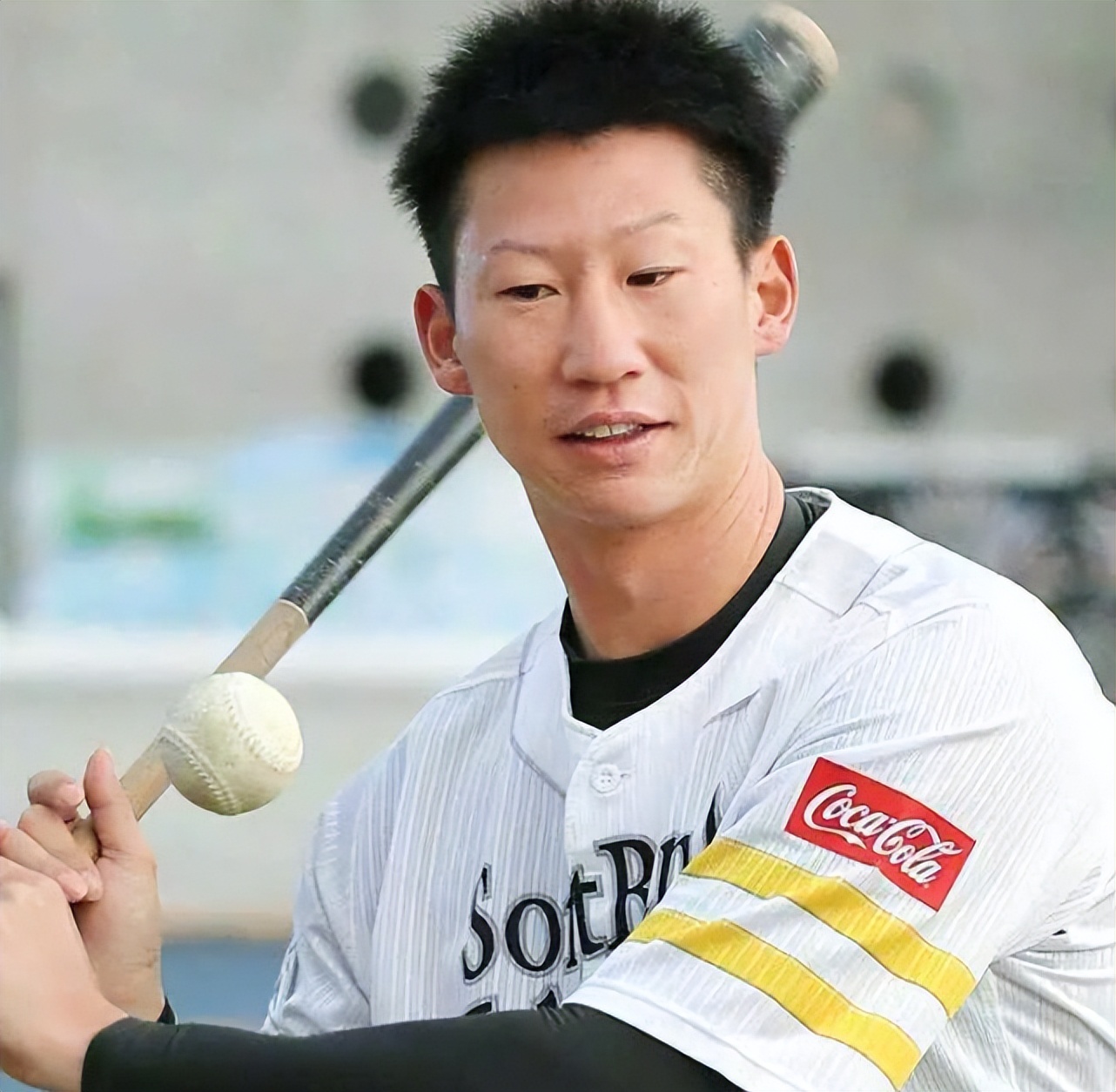 日本世界杯mvp球员,日本棒球选手mvp