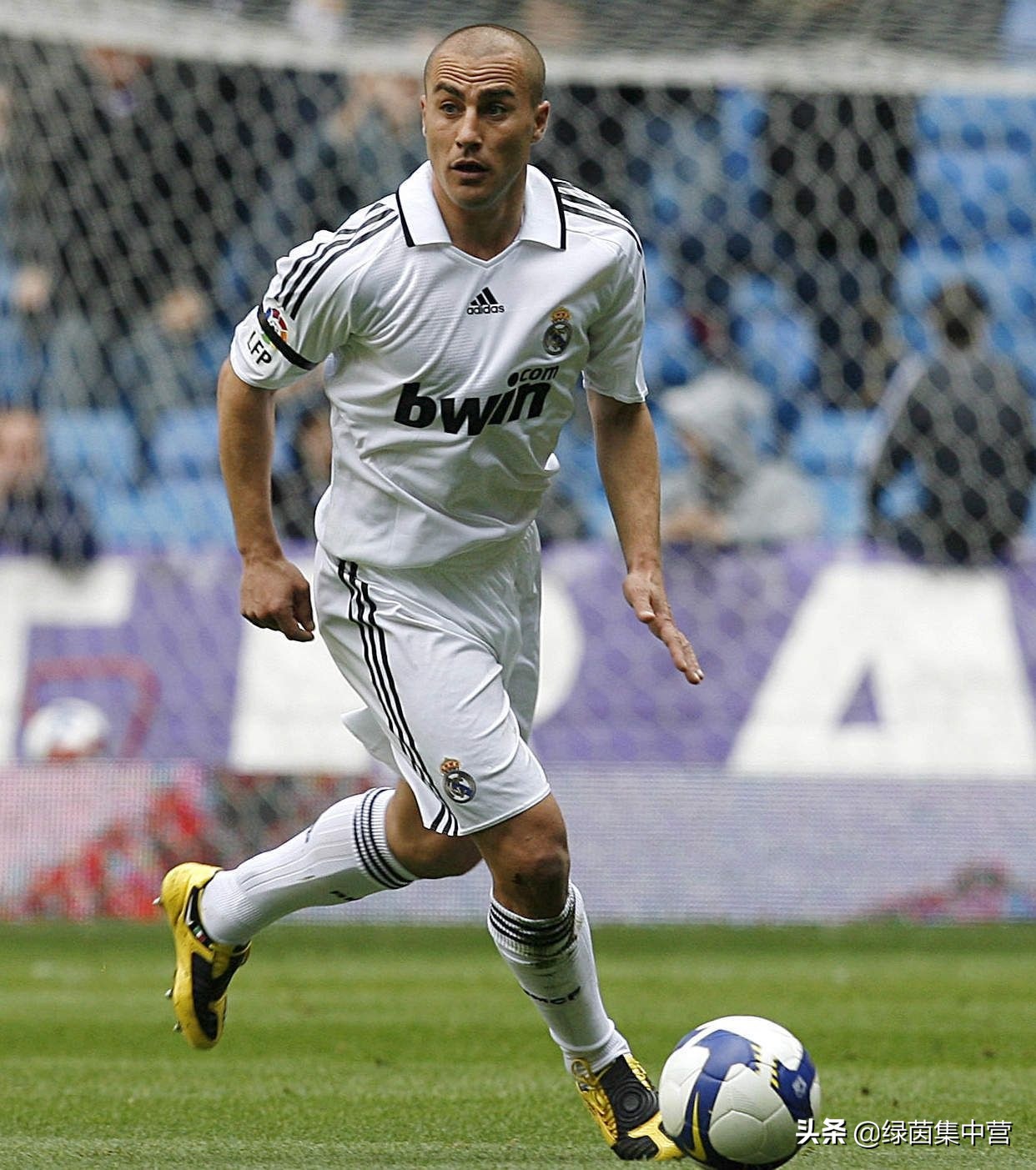 卡纳瓦罗巅峰之路视频,巅峰卡纳瓦罗