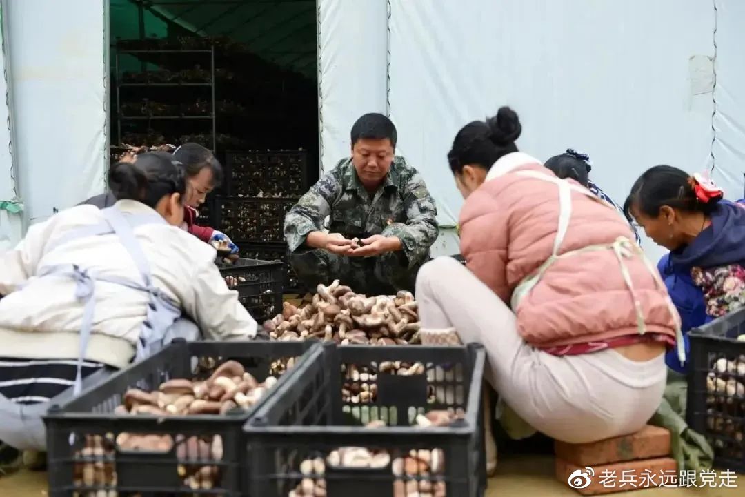 中校自主择业什么意思,上校军官自主择业退役金是终身吗