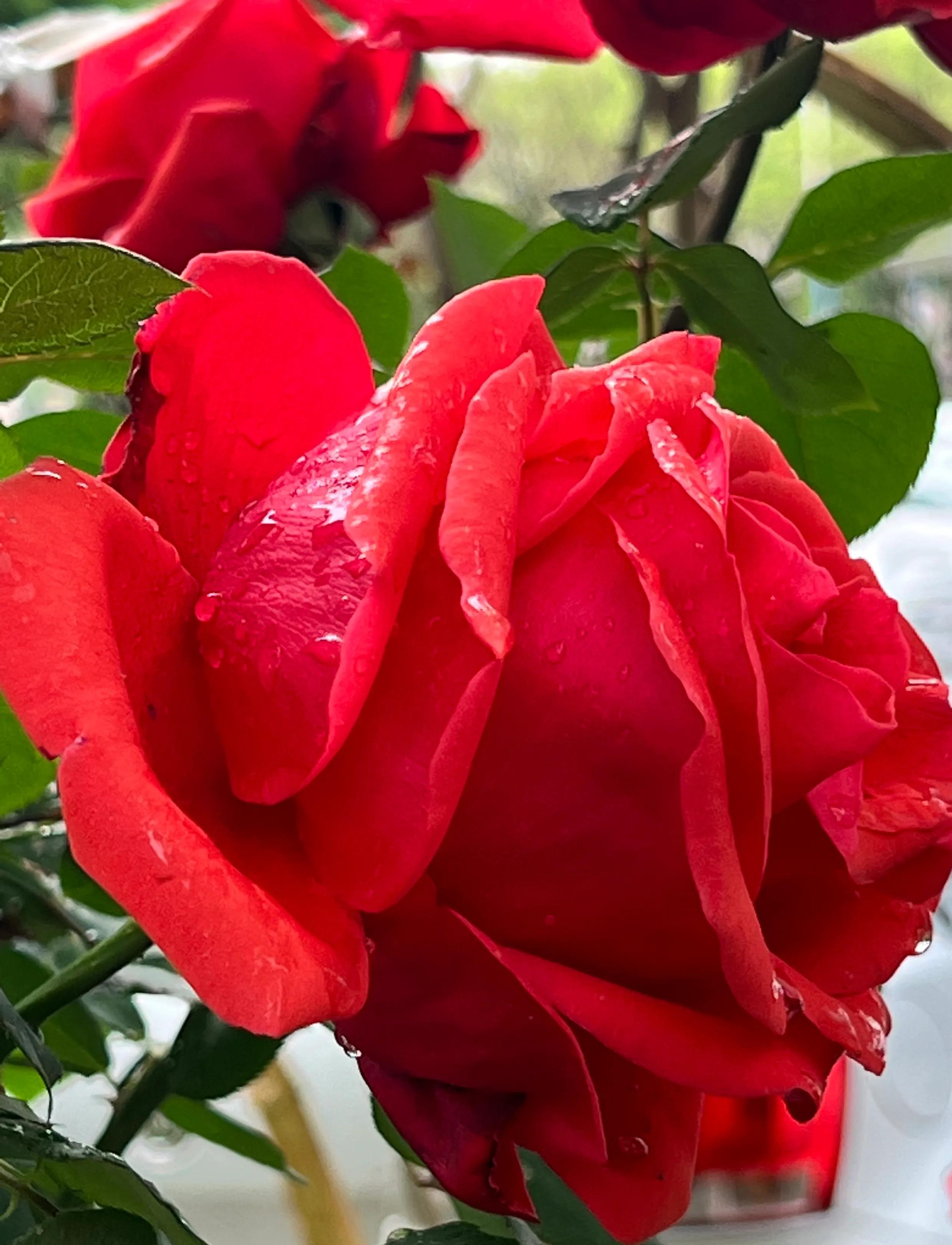 慧眼识得真金,人身上隐藏着神秘的“宝藏”,只是没有人去识别