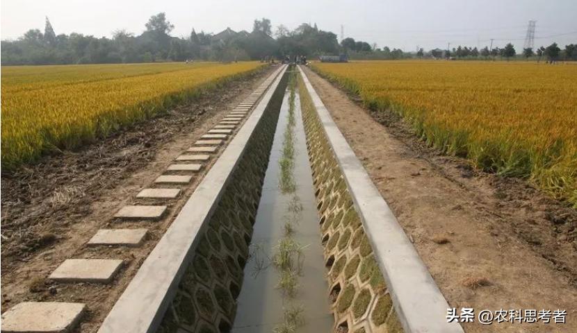 高标准农田建设多少钱一亩,永发乡高标准农田怎么建设