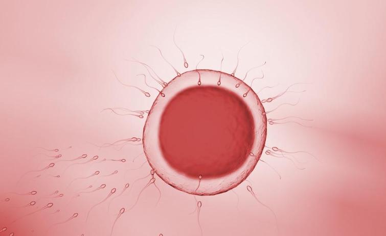 怀孕后还有月经是怎么回事,月经和怀孕会同时来吗