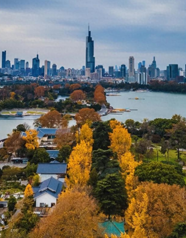 2024年蓝光金荷花房价,成都蓝光房地产