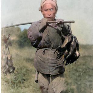 二战女德军士兵照片,老照片二战后悲惨的法国女性