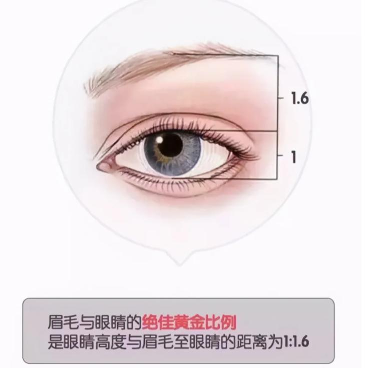 不会化妆怎么提升气质呢,不爱化妆的女生适合什么打扮