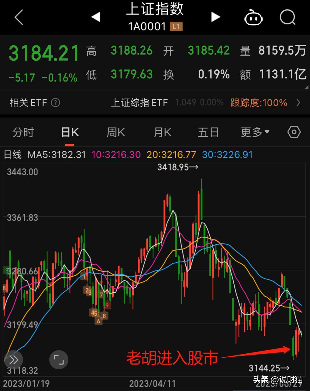 咱大A股，今天教胡锡进做人了？