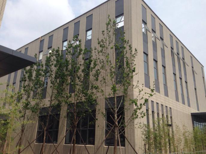 专科生考公务员有机会上岸吗,考公铁饭碗真的那么重要吗