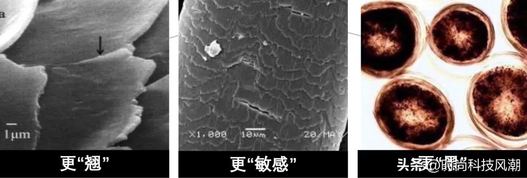 2023欧莱雅集团峰会,欧莱雅中国上海总部年会