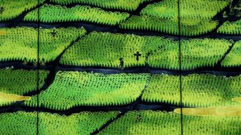 酒店测评房间开了两户,全球十大酒店测评