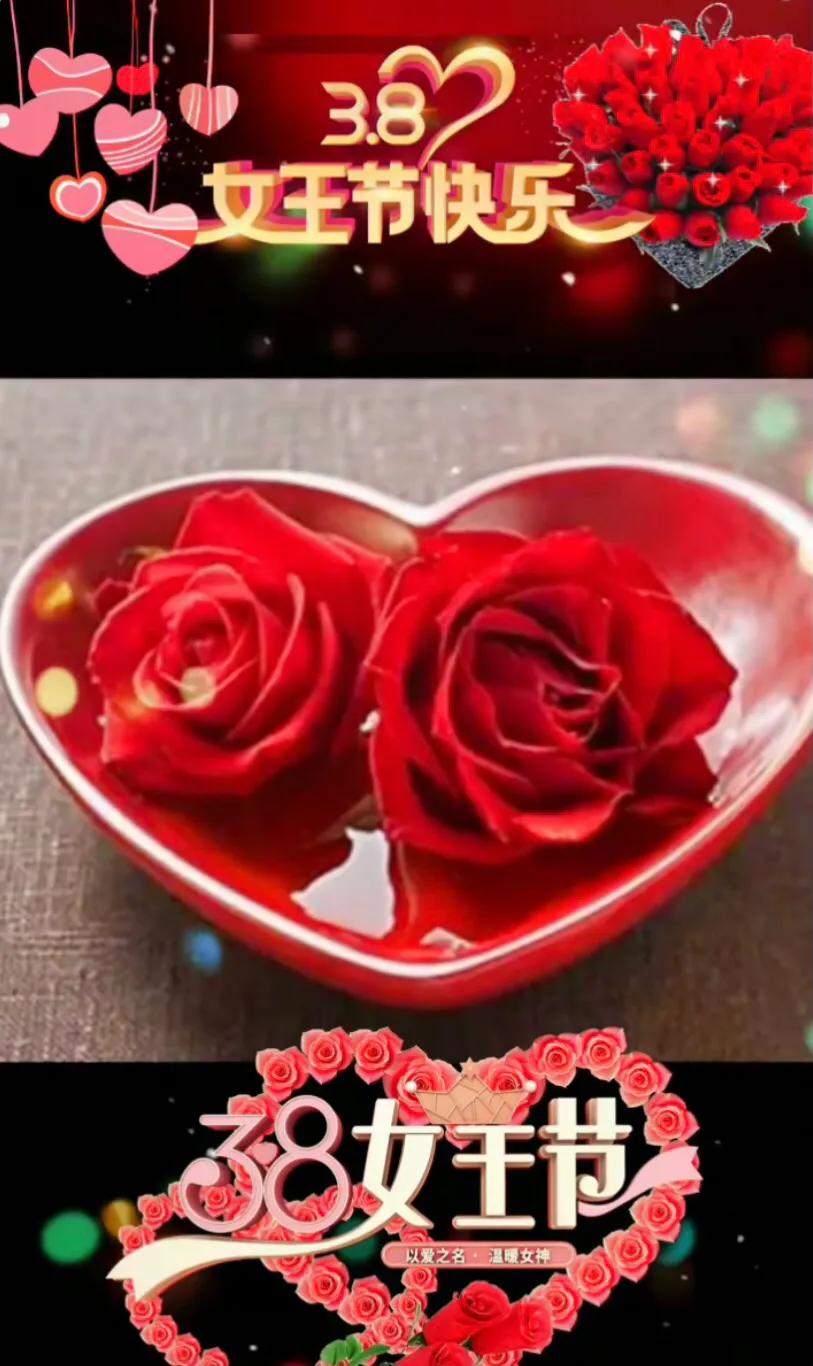 三八女神节愿你被温柔以待,妇女节愿所有美好不期而遇