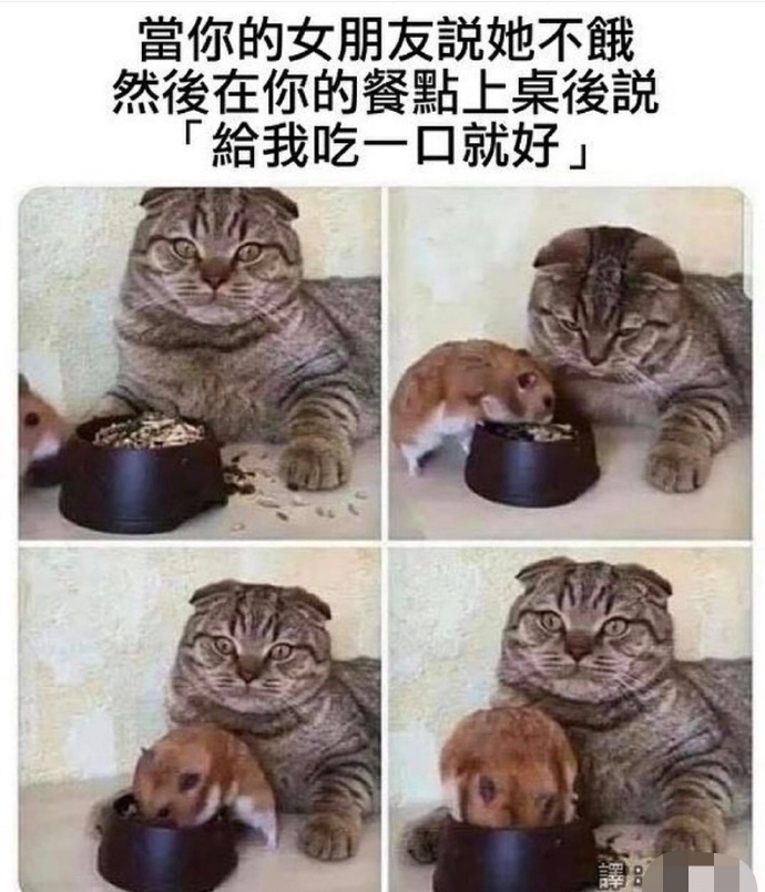 NO.3今日笑话不懂就问，老师的副业真都这么有趣吗