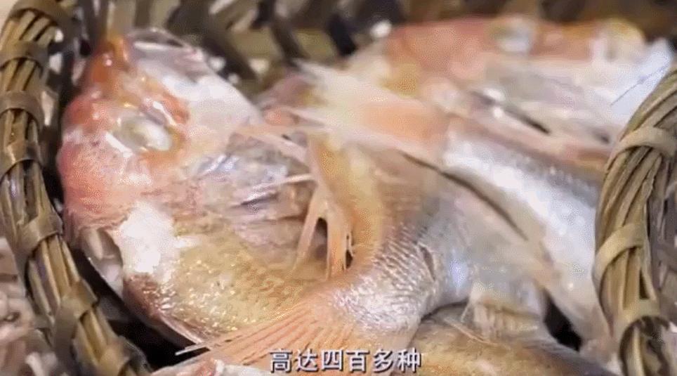 蔡澜陈晓卿念念不忘老味道,蔡澜推荐的中国美食