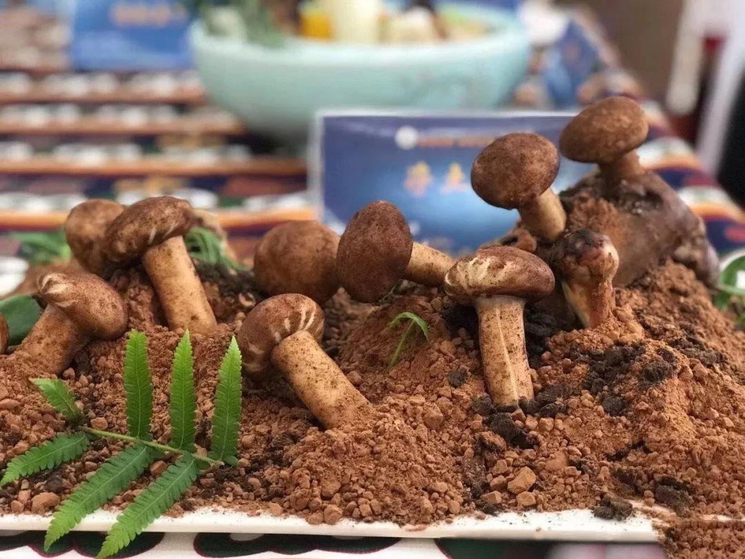 柳州惊现冥界之花为什么濒危,柳州发现冥界之花有毒吗