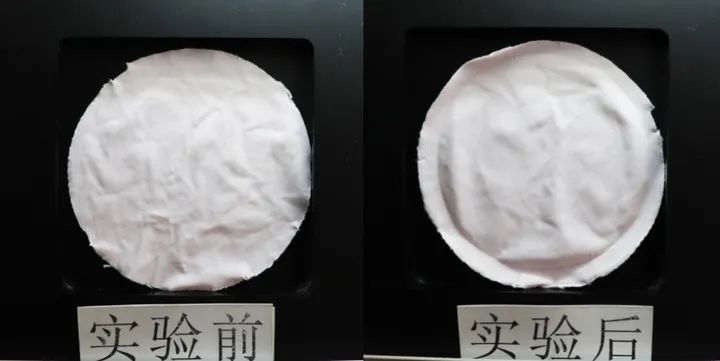 女小个子休闲裤测评,百元基础款休闲裤测评