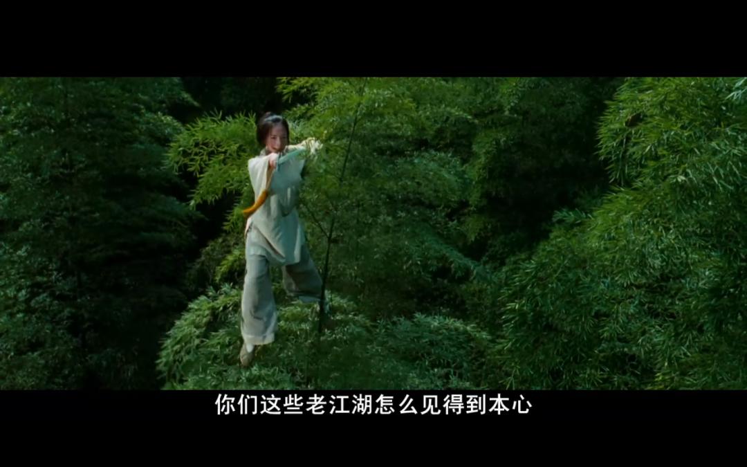 大熊猫爱吃的竹子是什么植物,大熊猫爱吃的竹子是毛竹吗