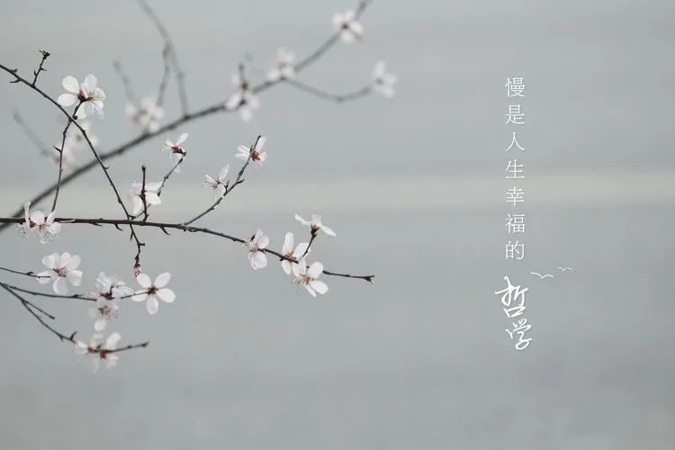 滦州古城都有哪些特色美景,滦州古城江南