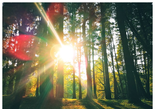 十二星座探秘之旅,星座探秘双子座