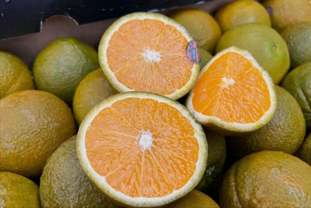 外国水果运到中国,澳洲水果出口中国