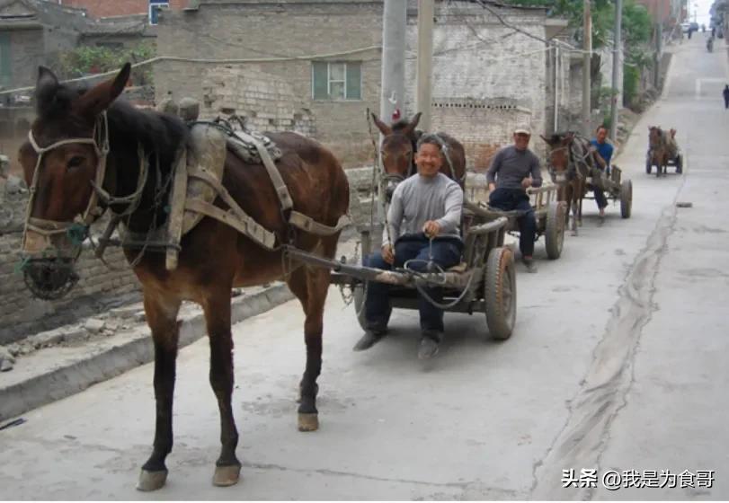 英国小女子,身高1米45英国女孩