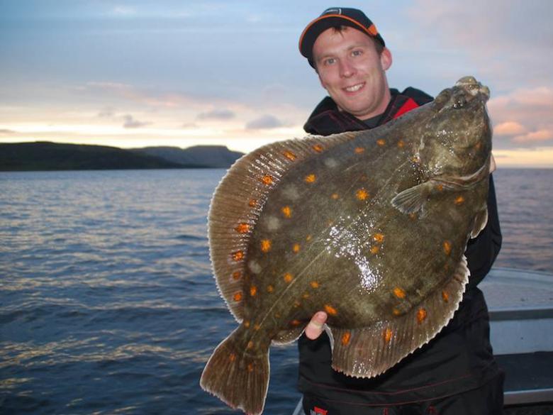 鲨鱼是海洋霸主吗视频,鲨鱼是海洋霸主的原因是什么