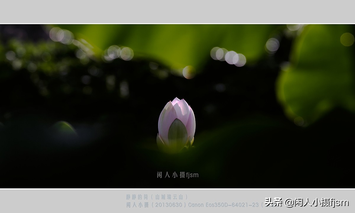 把荷花拍高级的摄影技巧,摄影荷花的拍摄技巧