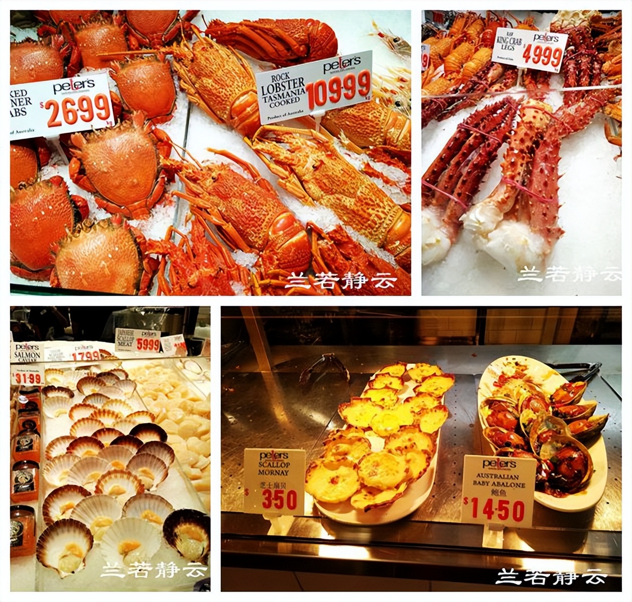 悉尼最大的海鲜鱼市场在哪里,海鲜市场澳洲龙虾