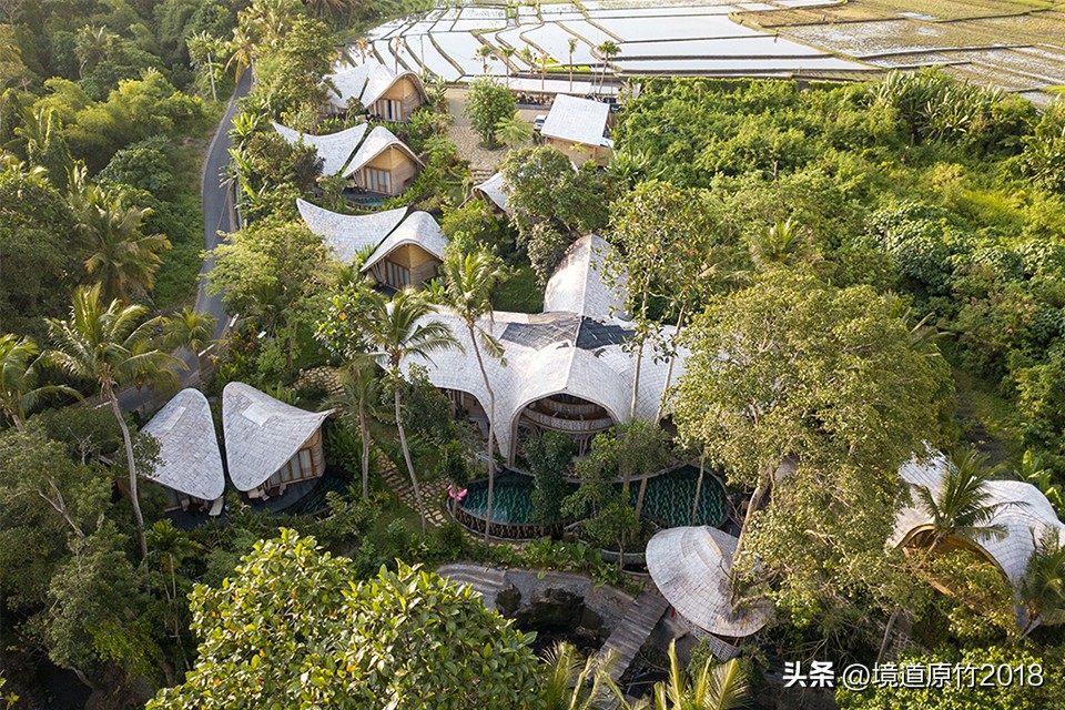 巴厘岛生态竹屋,巴厘岛推出生态竹子树屋