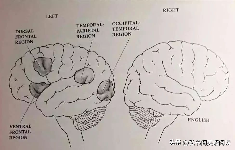 如果你的孩子不努力学习该怎么办,如何正确引导一个不爱读书的孩子