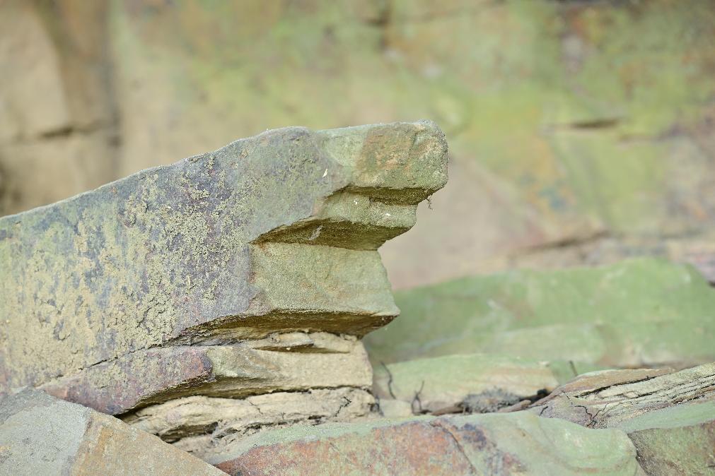 娌夐唹涓滈路闂插眳,榫欏北涔岀煶鍙ら亾寰掓