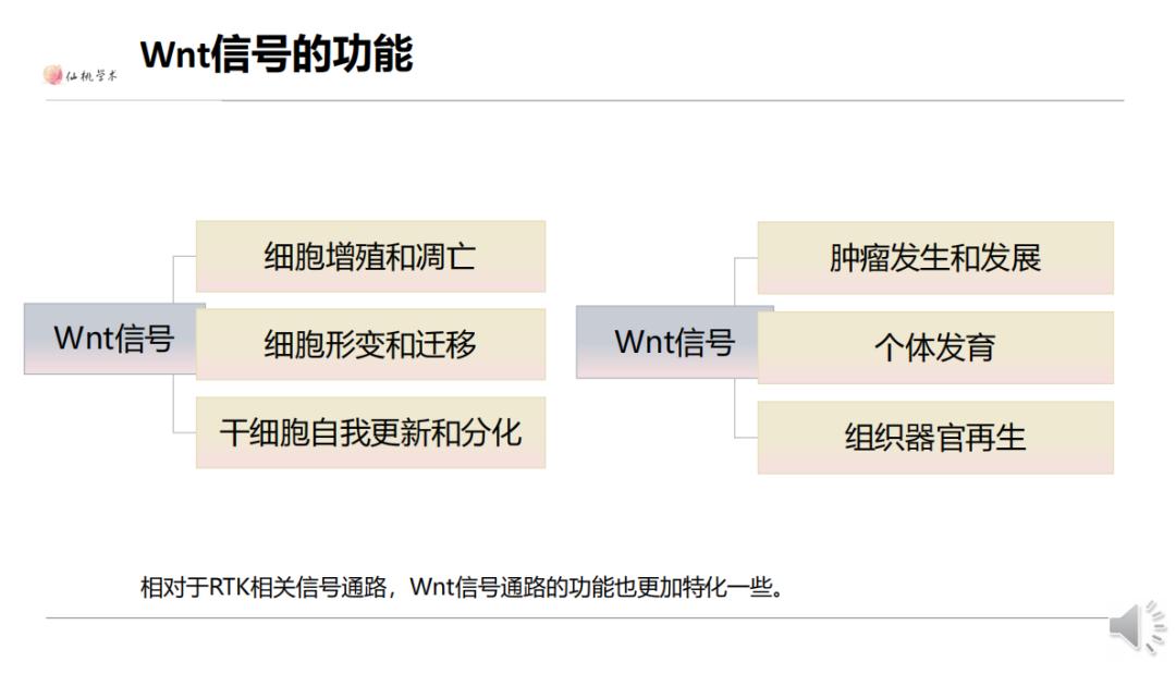 信号通路差异分析,常见的信号通路