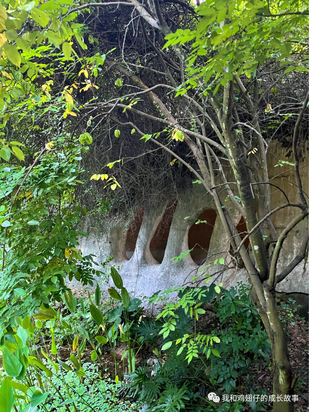 爱美丽深度解读,爱美丽150集免费观看