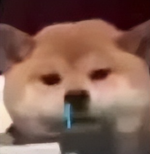 草莓热奶塔,草莓塔热奶宝