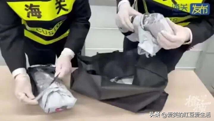 男子冒险违法携带101支孕妇血样出境，背后原因令人细思恐极！